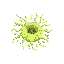 Spore
